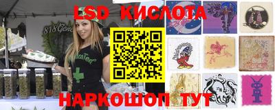 хмурый Гатчина