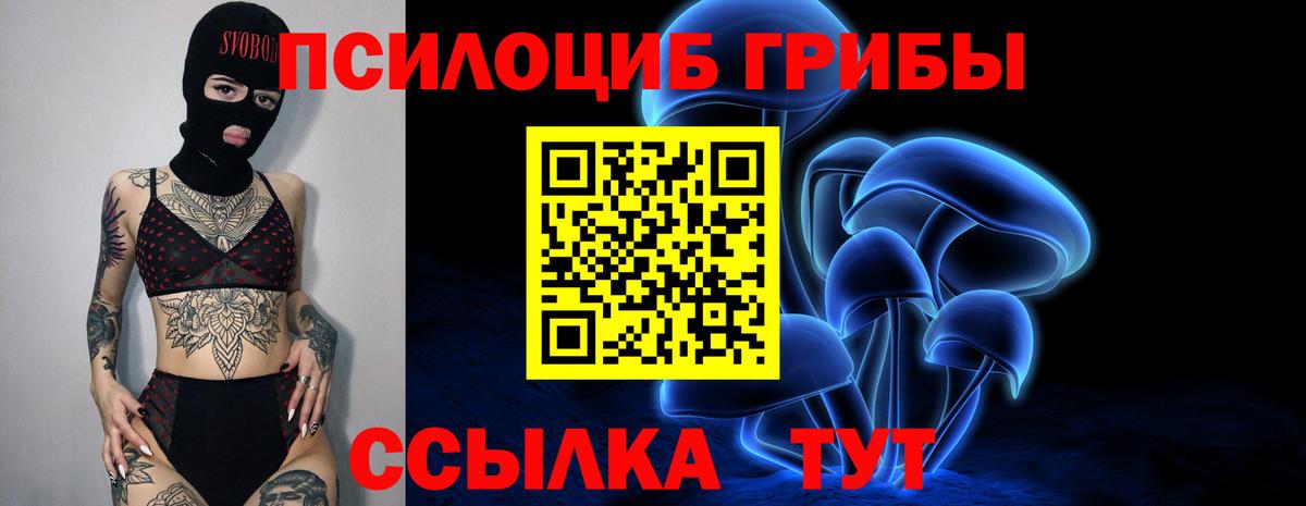 Балашов  Галлюциногенные грибы Magic Shrooms  Псилоцибиновые грибы Cubensis  Вход с VPN 